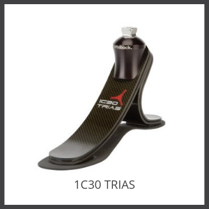 1C30 TRIAS